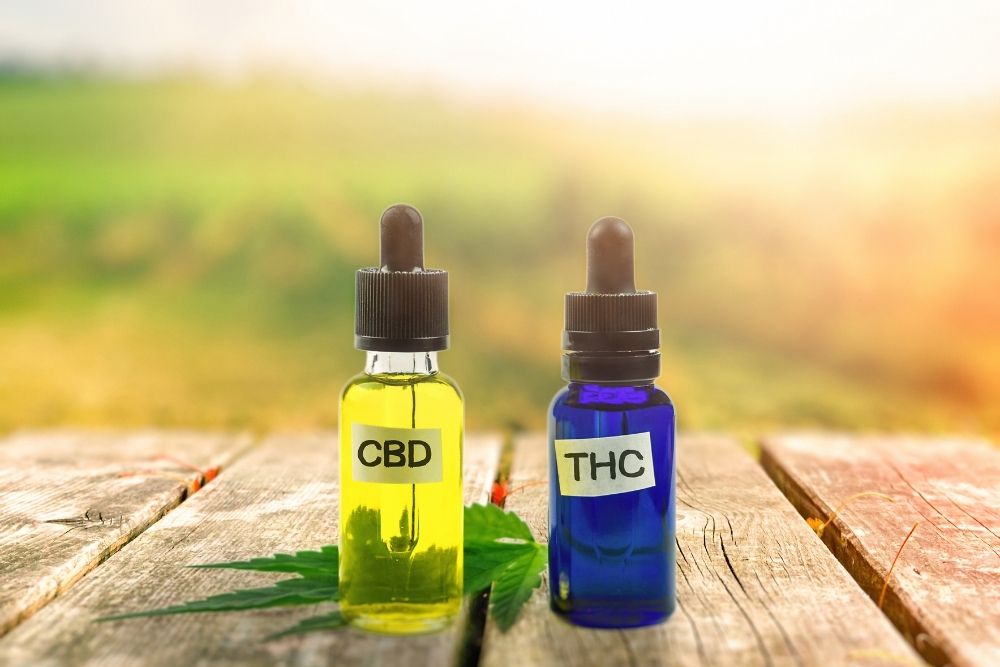 The Difference Between CBD and THC